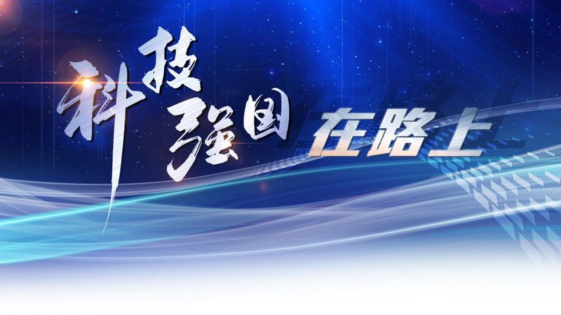 技术外包的常见陷阱与风险防范